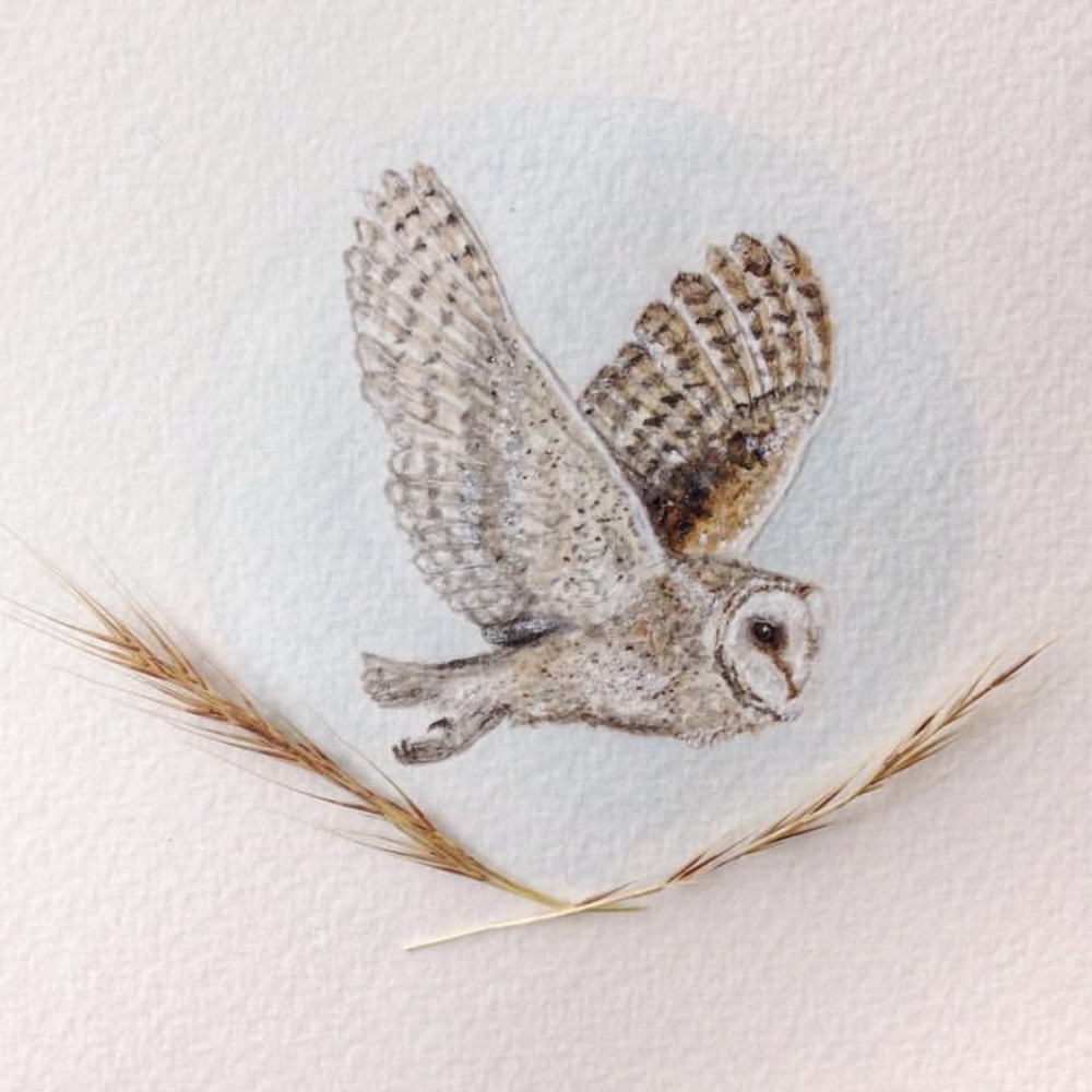 Meet your Posher, Posh